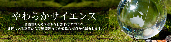 やわらかサイエンス