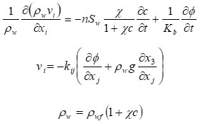 数式1（密度流解析の支配方程式）