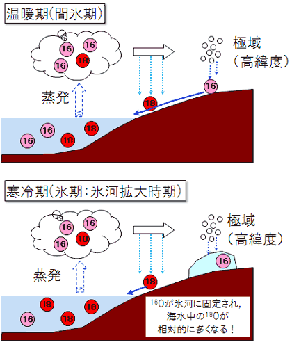 温暖期と寒冷期の酸素同位体の分布の違いイメージ