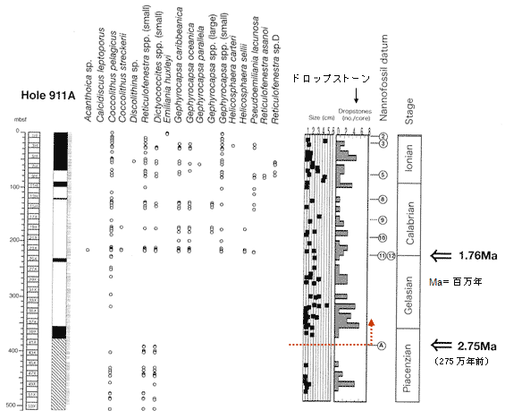 図：北極海ODP Leg 151,Hole 911Aの石灰質ナンノ化石層序とドロップストーンの変化 2)