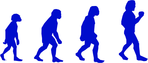 人類の進化イメージ図