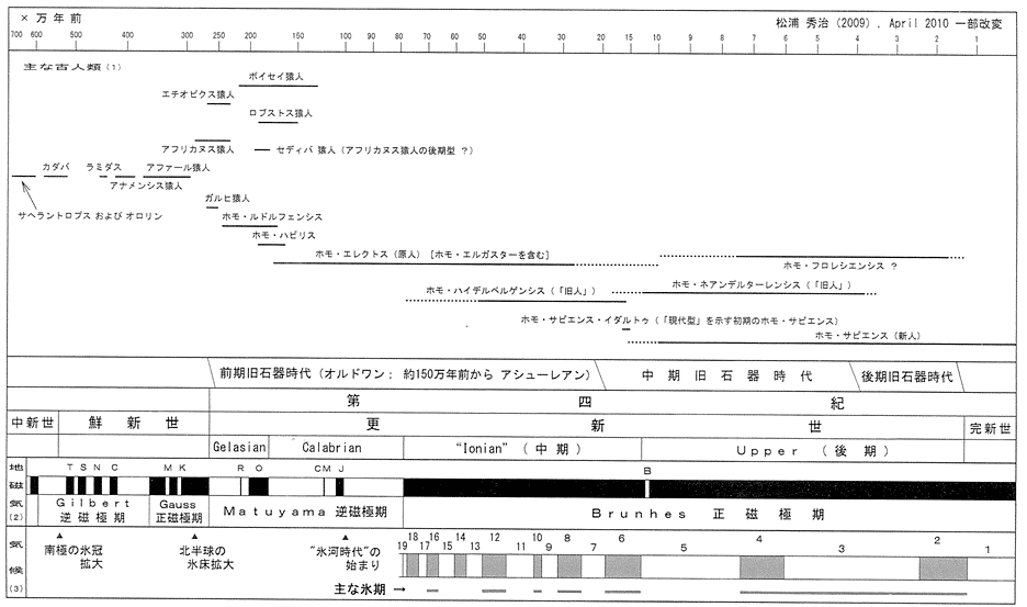 人類の系統表