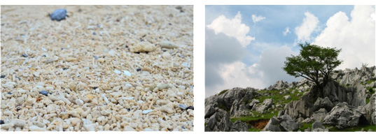 左：サンゴの浜、右：四国カルスト台地