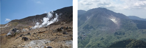 左：箱根大涌谷の近景。硫気孔の周囲に僅かに草本類の植生が見られます。
右：箱根大涌谷の遠景。硫気孔原から離れるにしたがって樹林の形成が見られます。