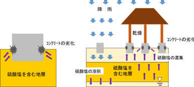 左：コンクリートが硫酸塩を含む地層にある場合はコンクリートが侵食され劣化します。
右：硫酸塩を含む地層が下にあり雨水の浸透の無い場合には、硫酸塩が毛管作用で上昇してコンクリートが侵食され劣化します。