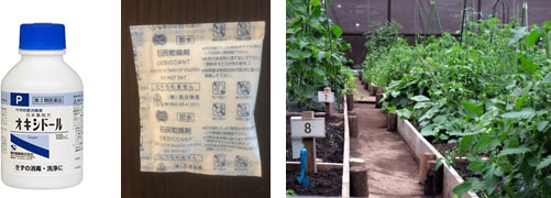 左：過酸化水素水は傷の消毒にも使われます。
中：酸性の矯正に使われる石灰は乾燥剤でも活用されています。
右：家庭菜園でも土作りが大切です。