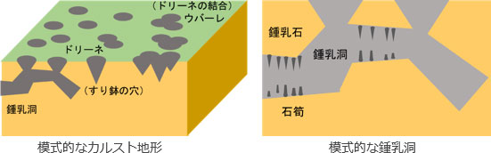 カルスト台地と鍾乳洞の模式図