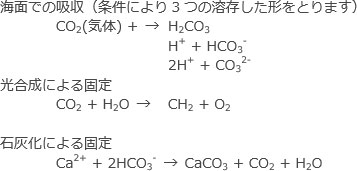 海洋での炭素の固定を示す、3つの数式