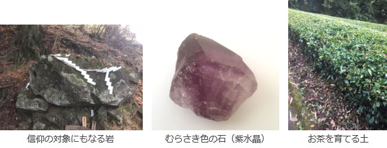 信仰の対象となる石、紫水晶石、お茶の木のイメージ