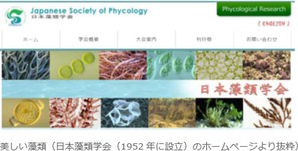 美しい藻類イメージ（日本藻類学会のホームページ）