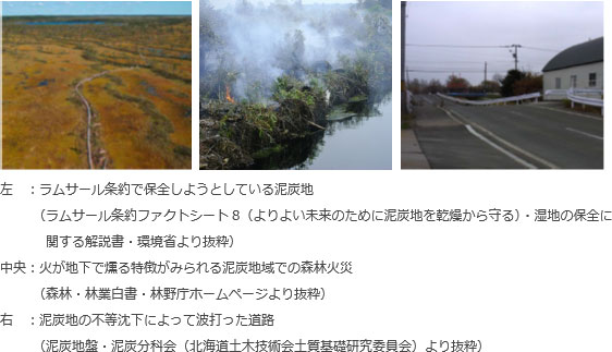 左：泥炭地画像、中：泥炭地域での火災の様子画像、右：泥炭地の不等沈下によって波打った道路の画像