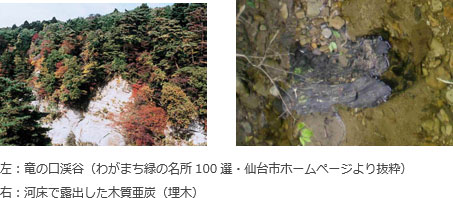 左：竜の口渓谷画像、右：河床で露出した木質亜炭の画像