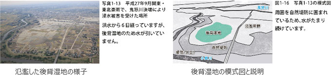 左：後背湿地の様子、右：後背湿地の模式図と説明の画像