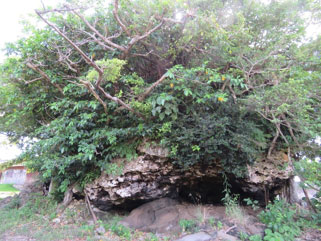 大浜の崎原公園内にある「津波大石（つなみうふいし）」