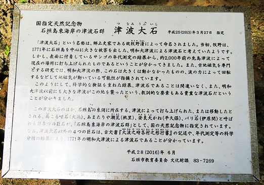 国指定天然記念物「津波大石」の説明版
