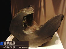 白萩隕鉄（国立科学博物館所蔵）