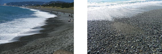 左：潮が引く際にビーチカスプの形状が強調されよく分かる
右：凹凸部で明瞭な礫の大きさの違い(画像中央部が凹部で堆積物の粒径が小さい)