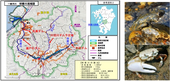 左：一級河川　球磨川流域図（国土交通省）　右上：カジカガエル　右下：ハクセンシオマネキ