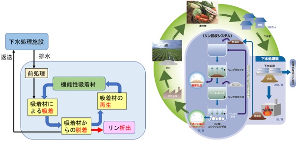 左：機能性吸着剤による下水からのリンの回収イメージ　　　　　　　　　　　　
右：リン循環イメージ＆リン回収フロー（一般社団法人　日本下水道施設業協会）