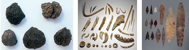 左：出土したクリ（大船遺跡）、中：骨角器（入江貝塚）、右：石鏃、石槍（三内丸山遺跡）
「北海道・北東北の縄文遺跡群・知る」サイトより抜粋