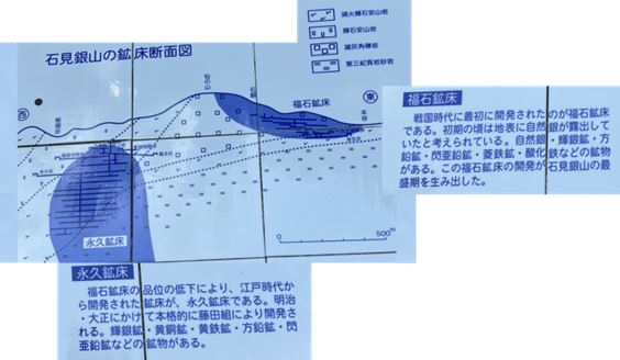 石見銀山の鉱床断面図