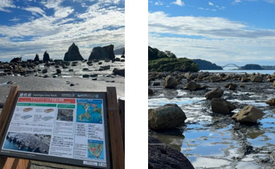 左：橋杭岩、右：津波石