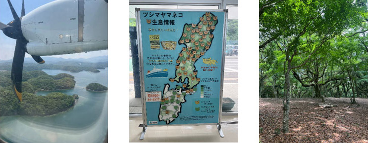 左:上空から見たリアス式海岸の様子,中:ツシマヤマネコの目撃地点,右:照葉樹林の森の中の様子