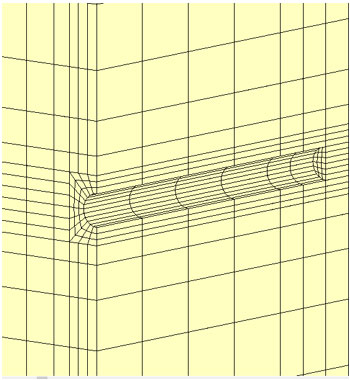 解析に用いたモデル(拡大)