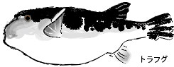 トラフグイメージ