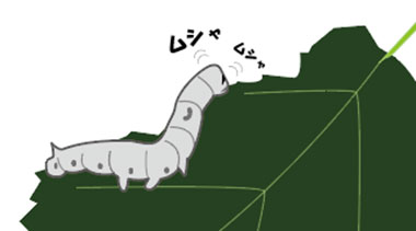 蚕のイラスト