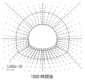 図6 地下水流速ベクトル分布(単位:m/h)1000時間後
